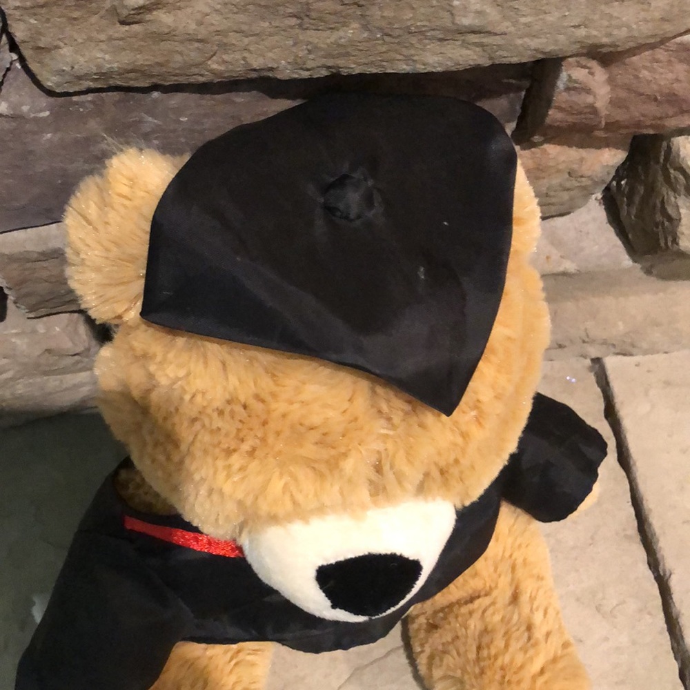 Graduation Bear! - Picture 2 of 10
